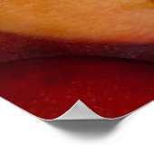 Poster Hayden Mangoes (Coin)