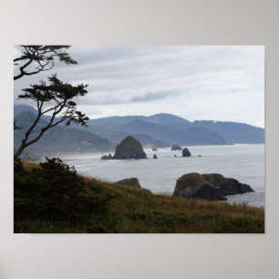 Poster "Haystack Rock du parc d'état Ecola, Oregon #1"