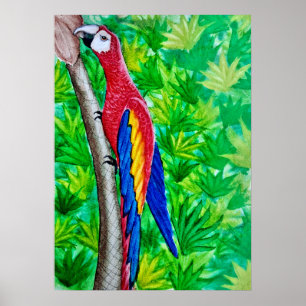 Poster Hé, il y a une Macaw écarlate dans cet arbre !