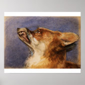 Poster Head of a Fox (Devant)