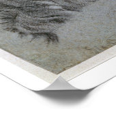 Poster Head of a River-God, c.1751 (Coin)