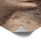 Poster Head of Virgin (Coin)