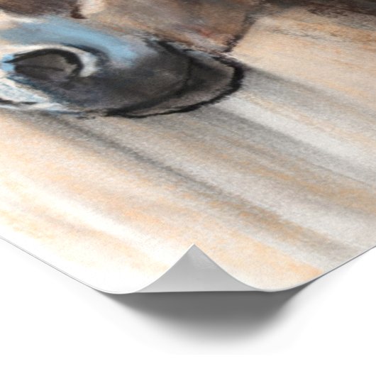 Poster Head study (Coin)