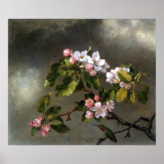Poster Heade - Colibri et Fleurs de Pommier (Devant)