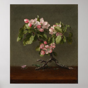 Poster Heade - Fleurs de pommier