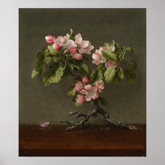 Poster Heade - Fleurs de pommier (Devant)