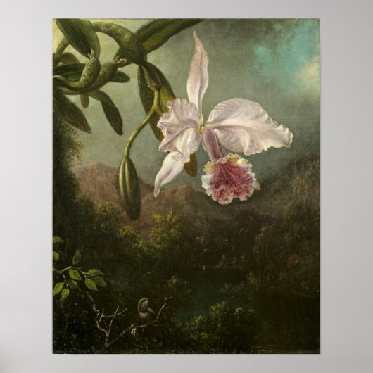 Poster Heade - Fleurs d'orchidée (Devant)