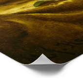 Poster Héade - Magnolias Sur Tissu De Velours D'Or (Coin)