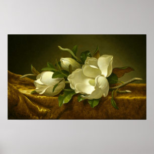 Poster Heade - Magnolias sur tissu de velours doré