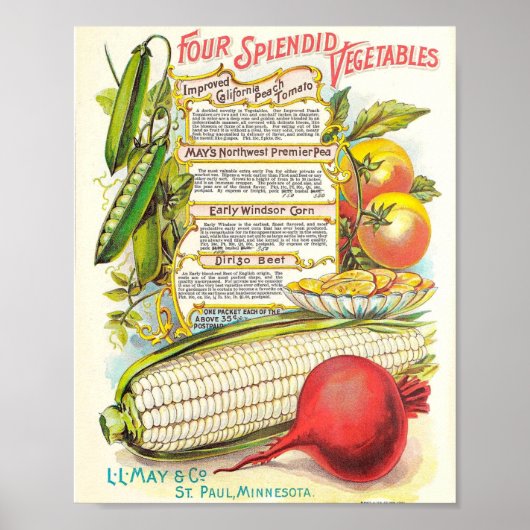 Poster Healthy Colourful Veggies Vintage Seed Packet (Devant)