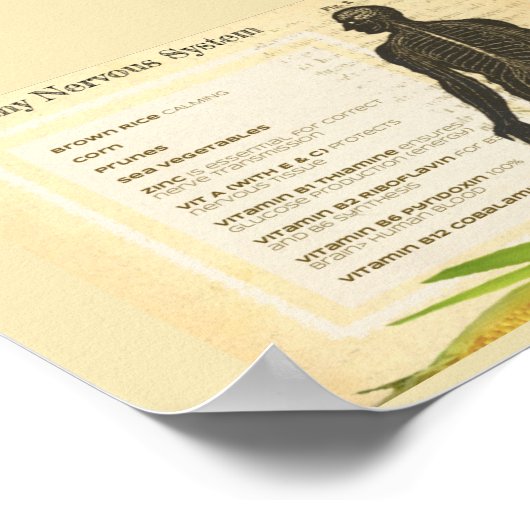 Poster Healthy Nervous System (Coin)