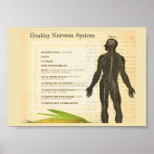 Poster Healthy Nervous System (Devant)