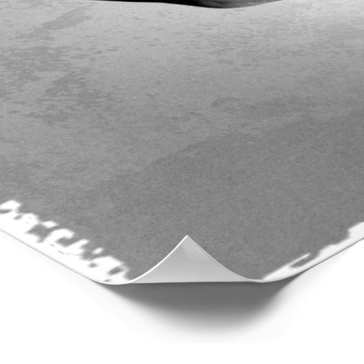 Poster Heart Hands B&W Photo (Coin)