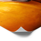 Poster Hedgehog Halloween Salutations (Coin)