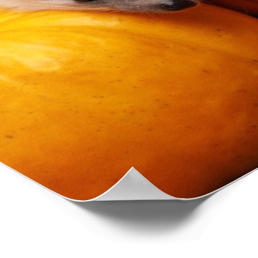 Poster Hedgehog Halloween Salutations (Coin)