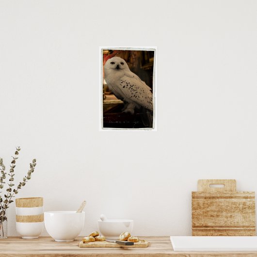 Poster Hedwig 3 (Cuisine)