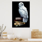 Poster Hedwig sur les livres (Cuisine)