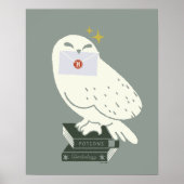 Poster Hedwig With Letter Whimsical Drawing (Devant)
