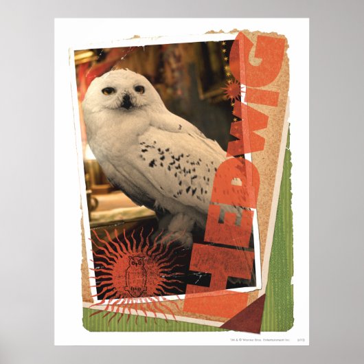 Poster Hedwige 1 (Devant)