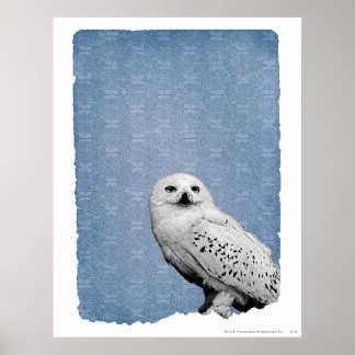 Poster Hedwige 2