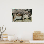 Poster HeeHaw (Cuisine)