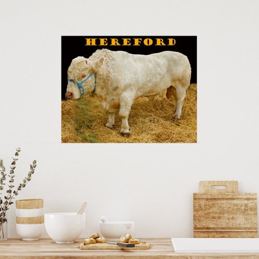 Poster héford (Cuisine)