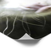 Poster Heidi L'Opossum Osé À Croix (Coin)