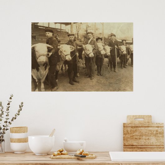 Poster Heifères (Cuisine)