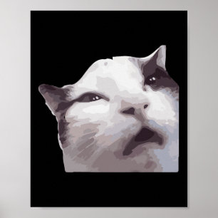 Poster Hein ! Mème de chat