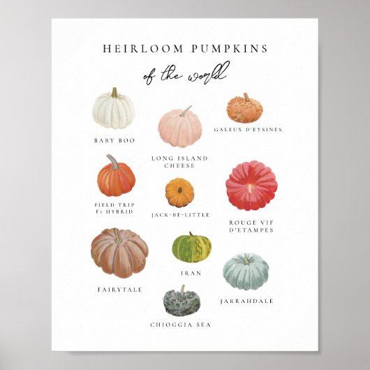 Poster Heirloom Citrouille Art (Devant)