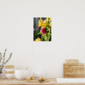 Poster Heirloom Iris (Cuisine)