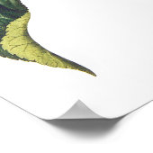 Poster Helianthus annuus (Coin)