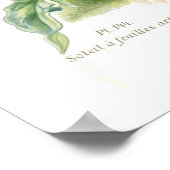 Poster Helianthus argophyllus (Coin)