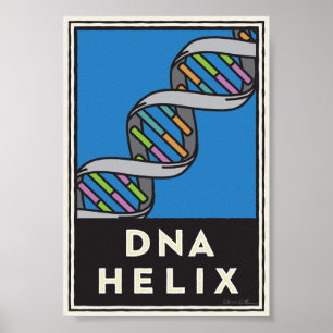Poster Hélice d'ADN