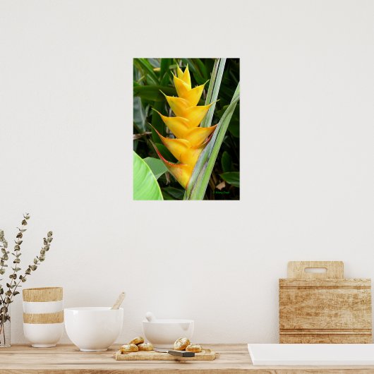 Poster Heliconia (Cuisine)