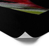 Poster Heliconia (Coin)