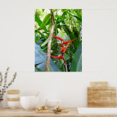 Poster Heliconia et Vanilla Vine orchidée (Cuisine)