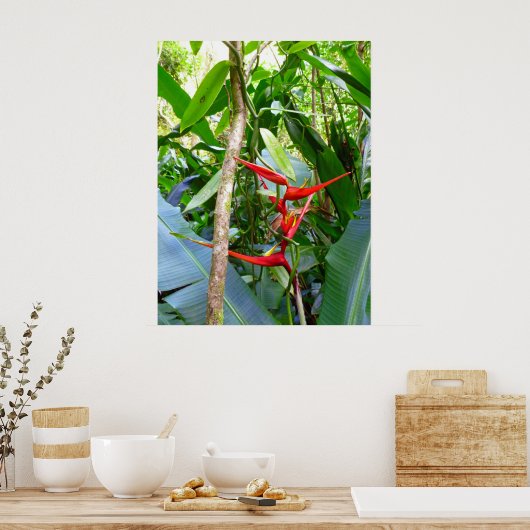Poster Heliconia et Vanilla Vine orchidée (Cuisine)