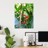 Poster Heliconia et Vanilla Vine orchidée (Bureau à domicile)
