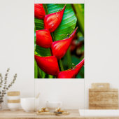 Poster Heliconia, Kauai, Hawaii (Cuisine)