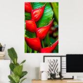 Poster Heliconia, Kauai, Hawaii (Bureau à domicile)