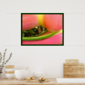 Poster Heliconia PeachFuzz Agrandir l'affiche Imprimer (Cuisine)