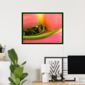 Poster Heliconia PeachFuzz Agrandir l'affiche Imprimer (Bureau à domicile)