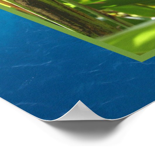 Poster Heliconia rostrata (Coin)