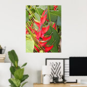 Poster Heliconia tropicale (Bureau à domicile)
