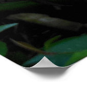 Poster Héliconie (Coin)