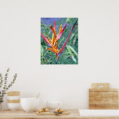 POSTER HÉLICONIE TROPICALE (Cuisine)