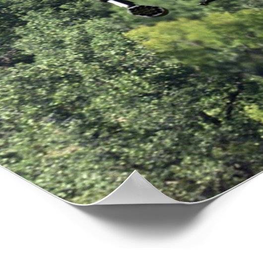 Poster Hélicoptère Apache AH-64D (Coin)