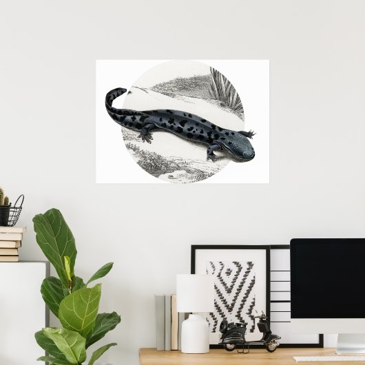 Poster Hellbender Salamander (Bureau à domicile)