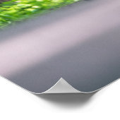 Poster Hellcat Challenger (Coin)